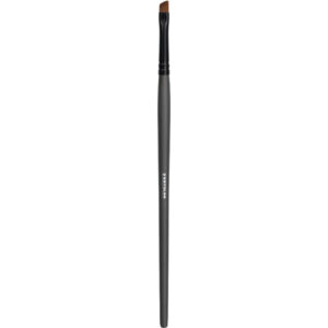 Artist Angular Brush 6